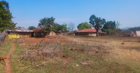 बैगा इलाका