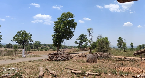 बैगा इलाका