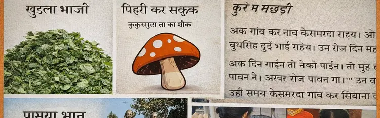 कलेकस्न