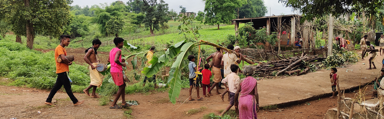 बैगा सस्कृति