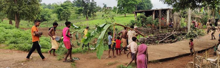 बैगा सस्कृति