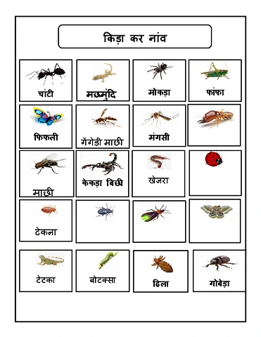 किड़ा कर नांवcs.pdf