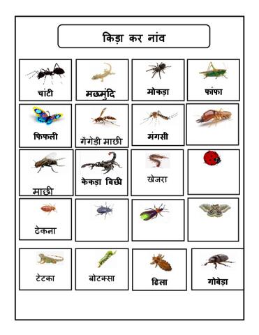 किड़ा कर नांवcs.pdf
