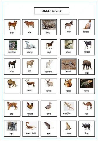 जानवर कर नांवcs.pdf