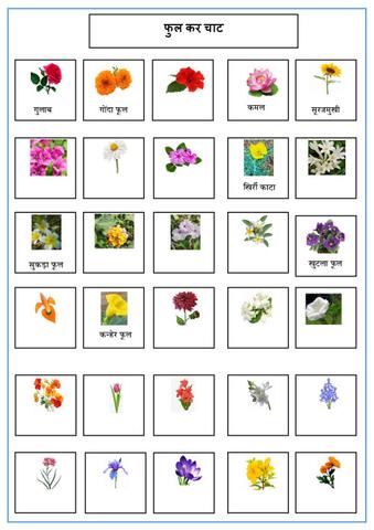 फूल कर नांवcs.pdf