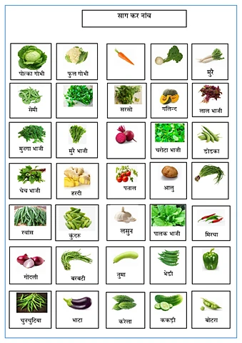 साग कर नांवcs.pdf