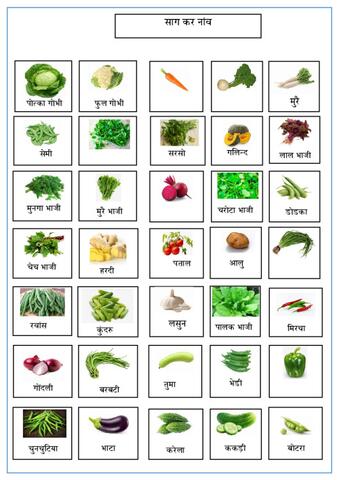 साग कर नांवcs.pdf